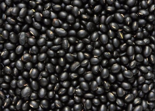 Paritosh Herbals Himalayan Black Soyabean, Kumaon Hills