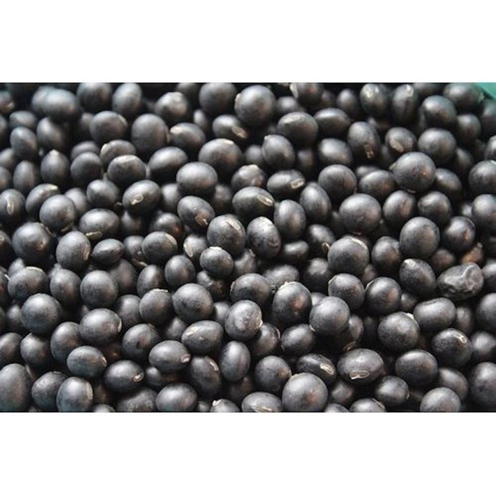 Himalayan Black Soybean