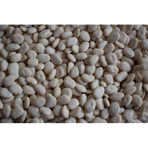 Organic White Bean