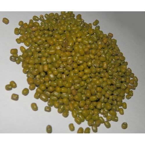 Indian Green Moong Whole, No Preservatives