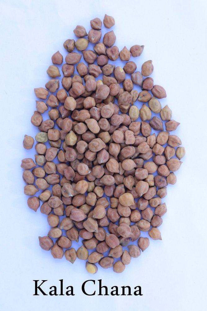 Brown Kala Chana, Packaging Type: Loose