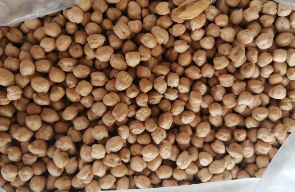 Kabuli Chana, Packaging Type: Loose