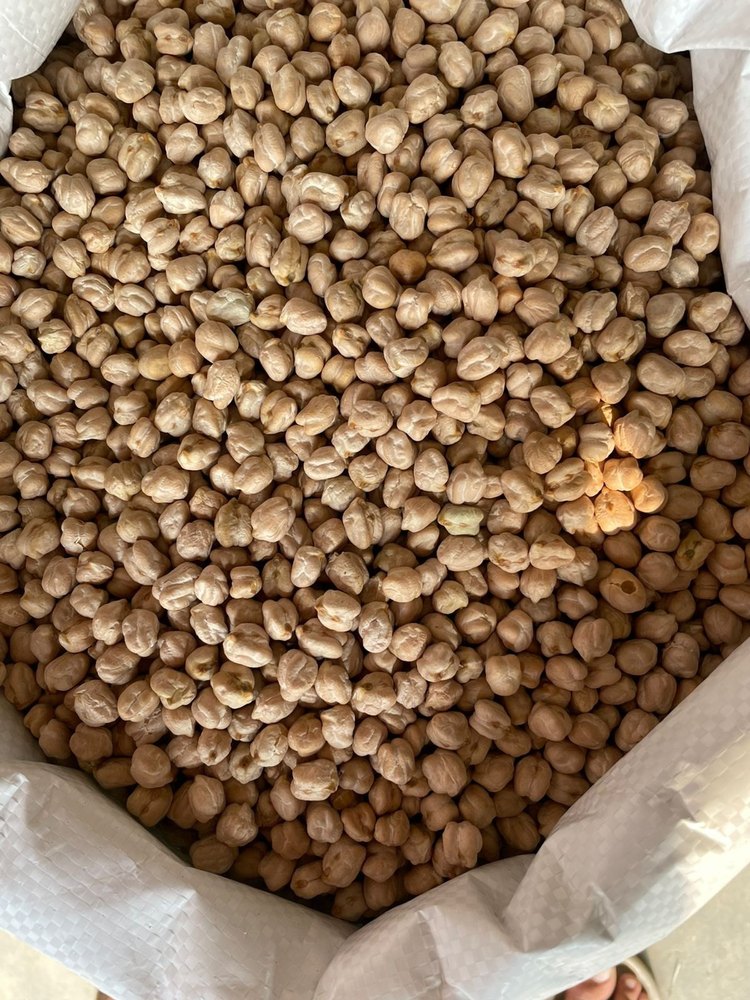 White Chickpeas Kabuli Chana (Bold), Packaging Type: Bag, Packaging Size: 30kg-50kg