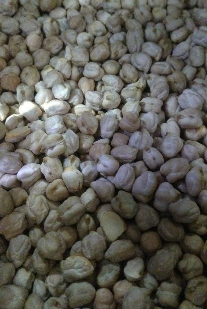 Indian Organic Kabuli Chana, High in Protein, Packaging Size: Loose