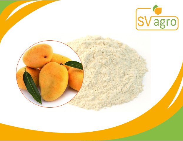 200 g Spray Dried Mango Powder, Packaging: Packet