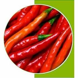 Cayenne Pepper