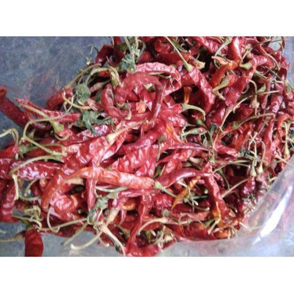 Indian Red Chilli