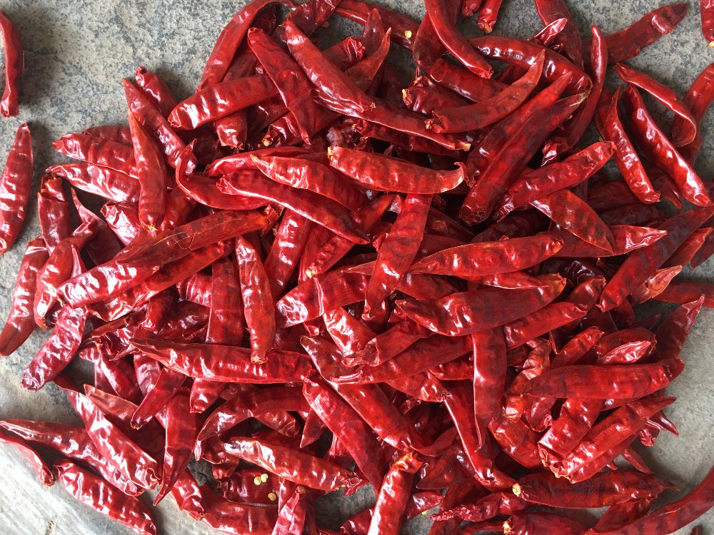 Red Chillies img