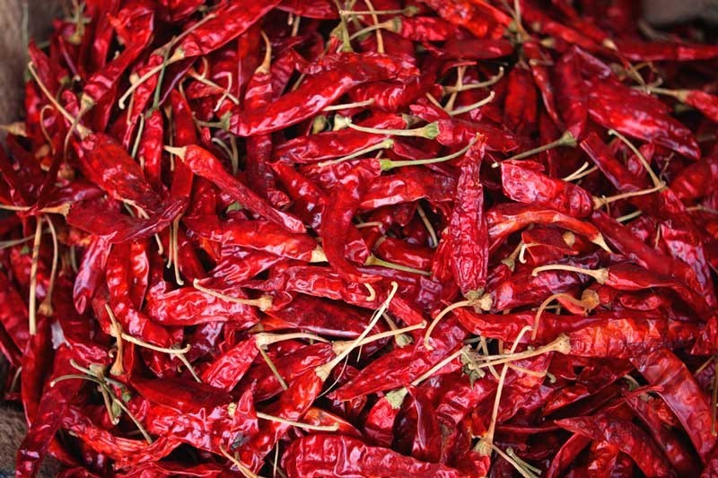 Red Chilli, Pack Size: 25 kg img