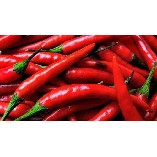 Indian Red Chilli, 10kg img