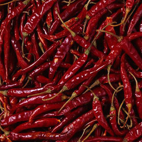 Indian Red Chilli img