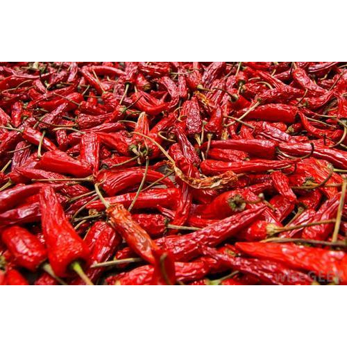 Indian Dry Red Chilli, 50 g- 50 Kg