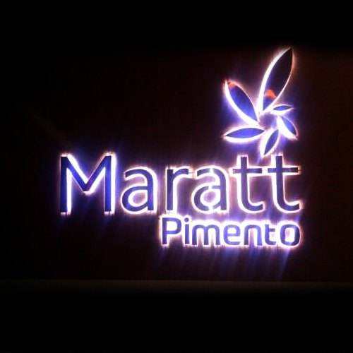 Stainless Steel 3D Embossed Letter with LED Lighting