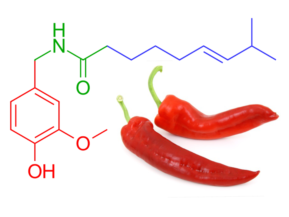 Liquid colorless Capsaicin 95% POWDER, Packaging Type: HDPE DRUM