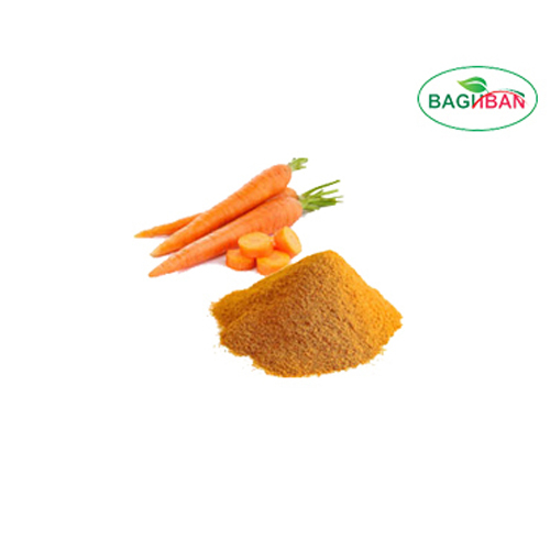 Baghban foods Reddish Pink And Orange Spray Dried Carrot Powder, Packaging Type: LD Bag, Packaging Size: 20kg