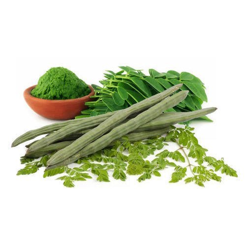 Dry Green Moringa Fruit Drumstick Powder, Packaging Type: JUTEBAG, Packaging Size: 5 Kg img