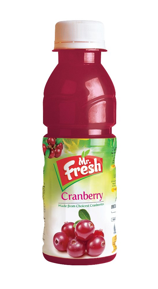 160 Ml Mr. Fresh Cranberry Fruit Drink, Packaging Type: Plastic Bottle