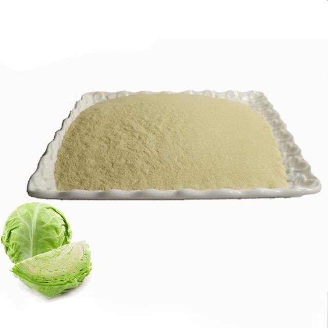 Tulsi Dehydrated Cabbage Powder, Packaging Type: 1 Kg img