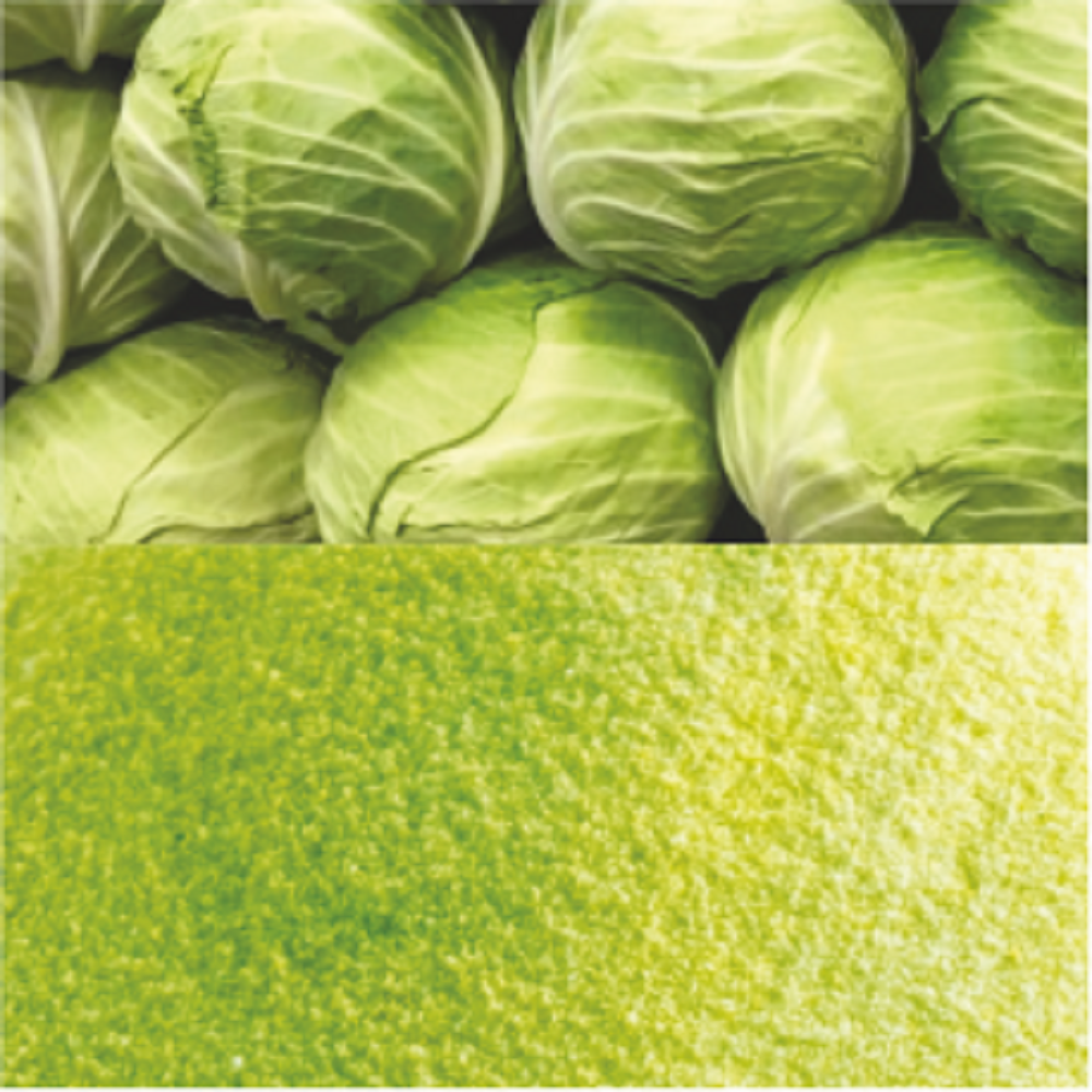 Spray Dried Cabbage Powder