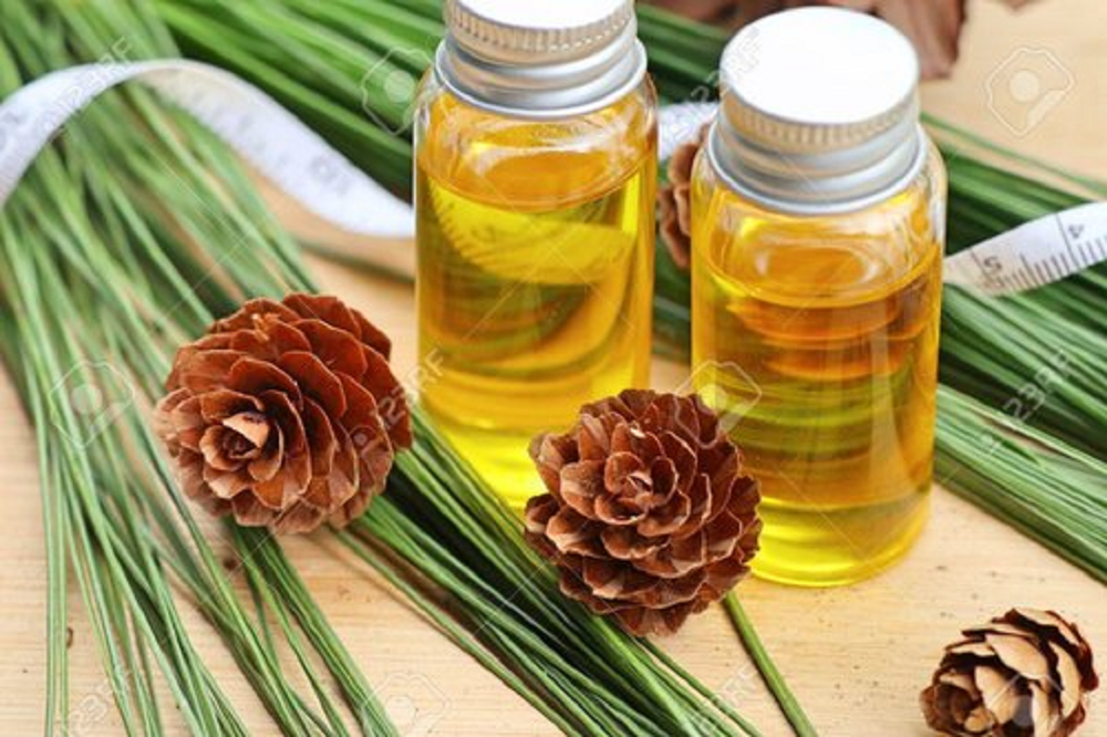 Concentrate Pine Oil