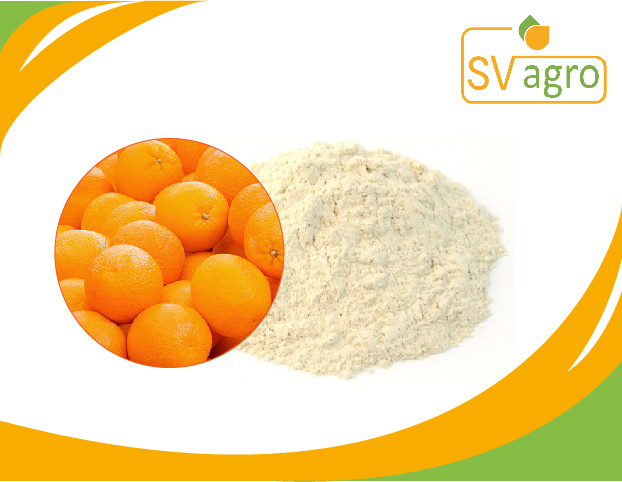 Spray Dried Orange Powder, Packaging Size: 25 kg