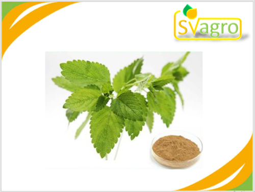 Brown Lemon Balm extract, Packaging Size: 25 Kg