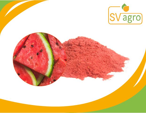 SV AGRO Spray Dried Water Melon Powder