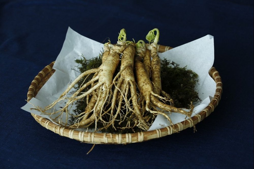 Ashwagandha Root Juice