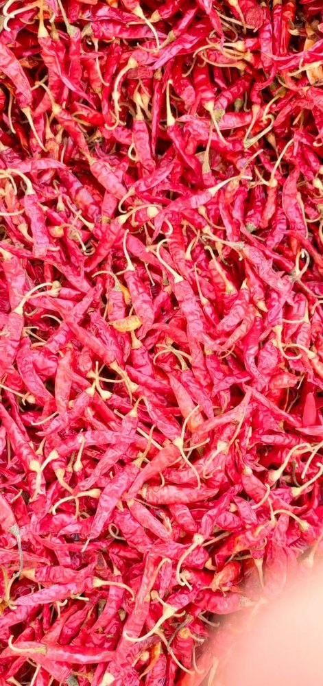 Spice Organic Dry Red Chilli