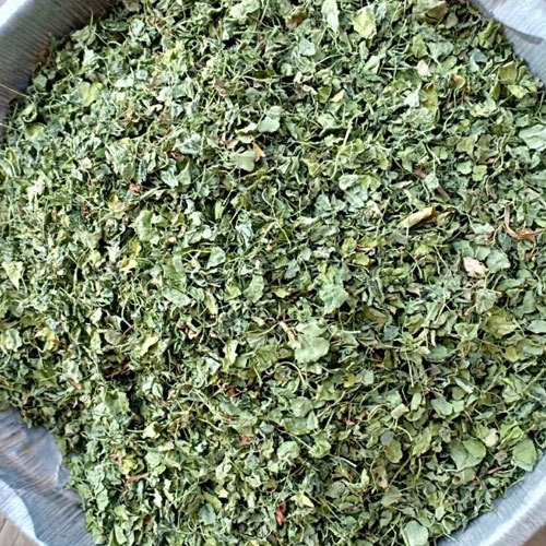 Green Dehydrated Fenugreek Leaves, Packaging Type: Plastic Bag