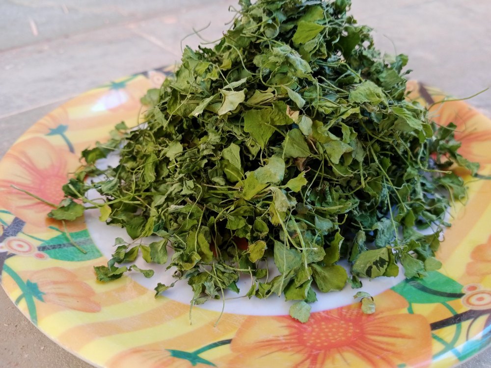 Dried Leaves Green Kasuri Methi Pattha