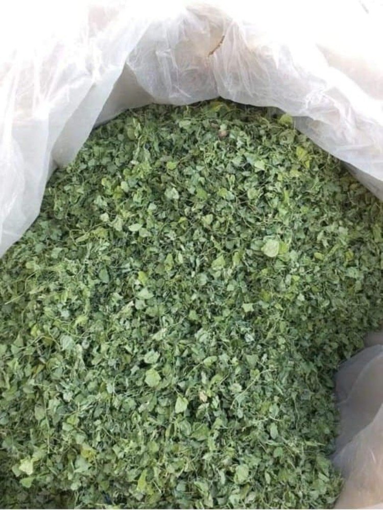 Organic Dried Kasuri Methi, Fenugreek Leaves