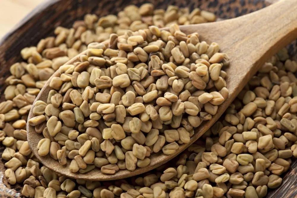 Brown Fresh Fenugreek Seed