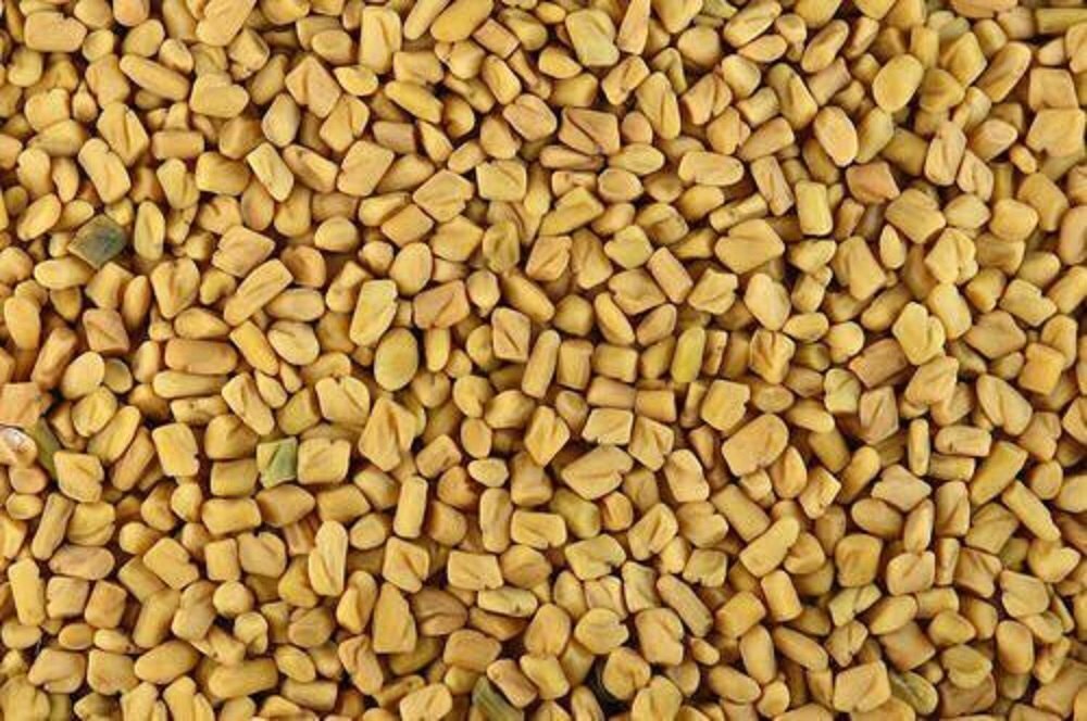 Yellow Organic Fenugreek Seeds