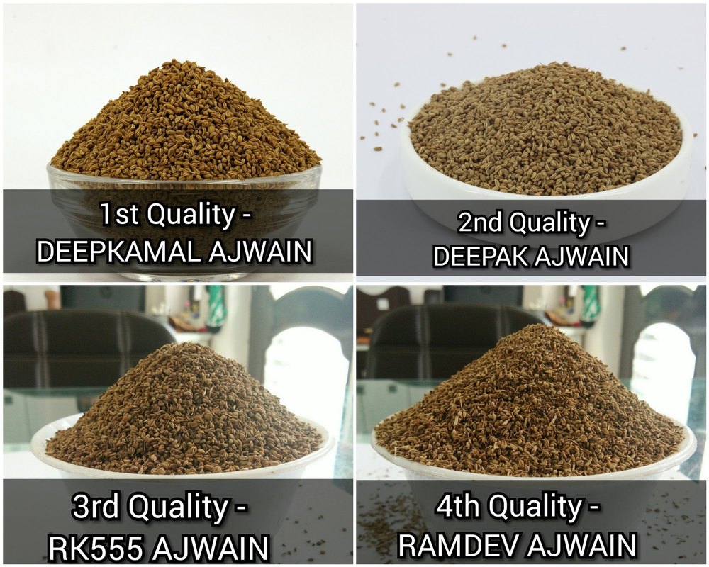 Ajwain, Ajwayan, Bishop Seed, Carom Seeds Ajwain Dhanthal, Natural, Organic, Ayurvedic