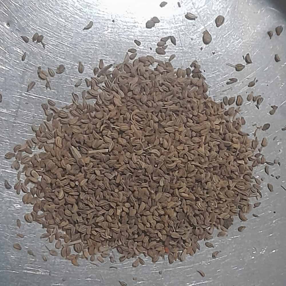 Organic Ajwain Seeds