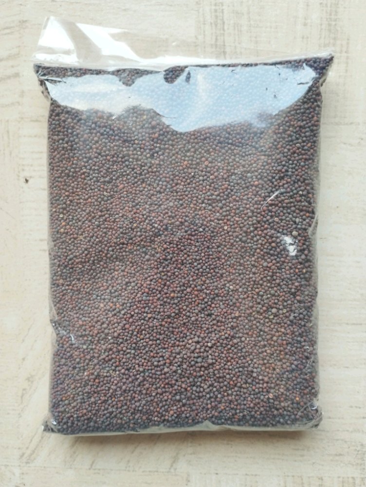 Black Organic Mustard Seeds, Packaging Size: 500g