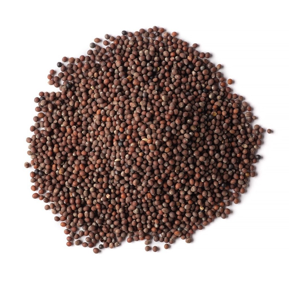 Brown Organic Mustard Seed