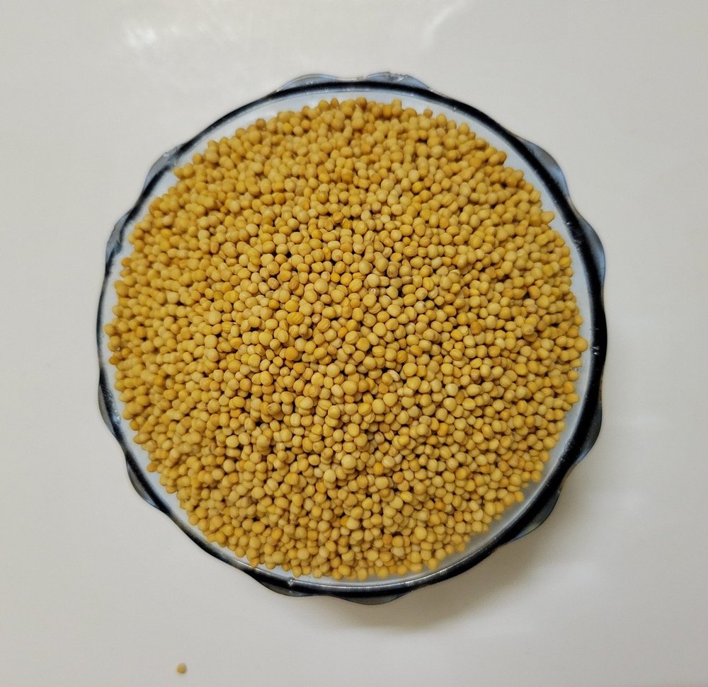 Organic Yellow Mustard Seed, For Cooking