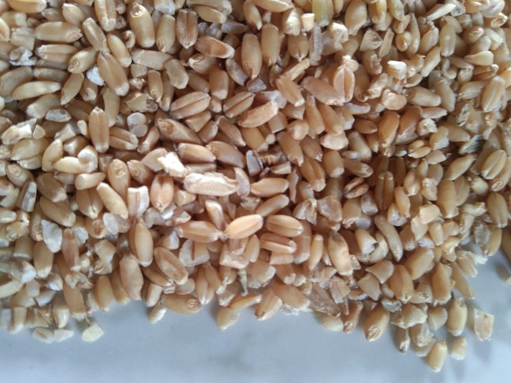 Indian Brown Organic Wheat