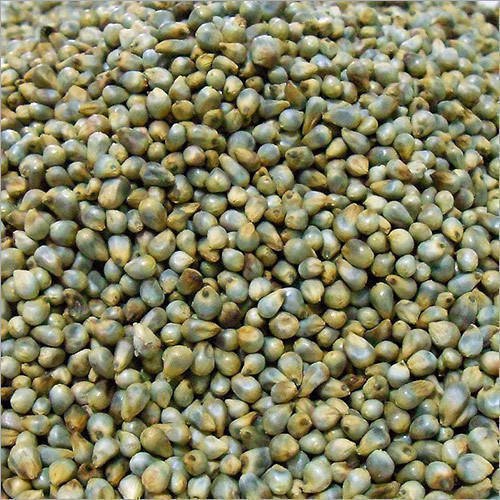 Organic Pearl Millet, For Cooking