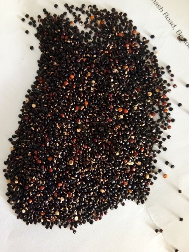 Indian Black Quinoa Seeds, For Cooking, Gluten Free