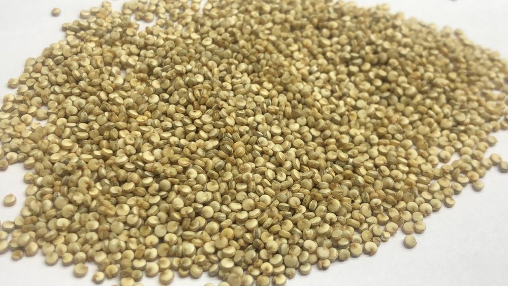 Indian Non Organic Quinoa, Packaging Size: 50kg, Gluten Free