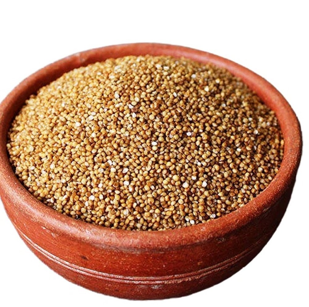 Indian Organic Kodo Millet, Packaging Size: 25 Kg, High in Protein