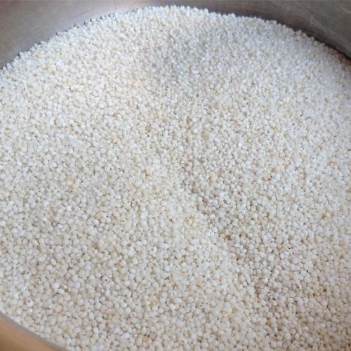 White Sortex Kodo Millet, Gluten Free