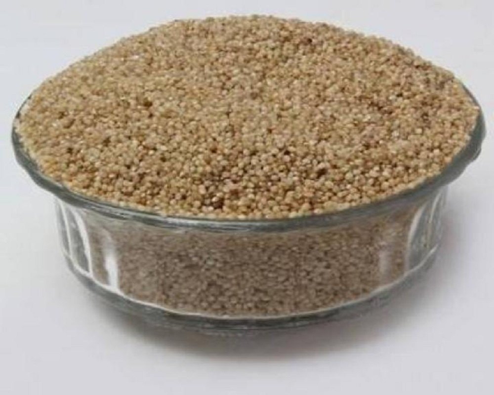 Organic Kodo Millet Seed, High in Protein