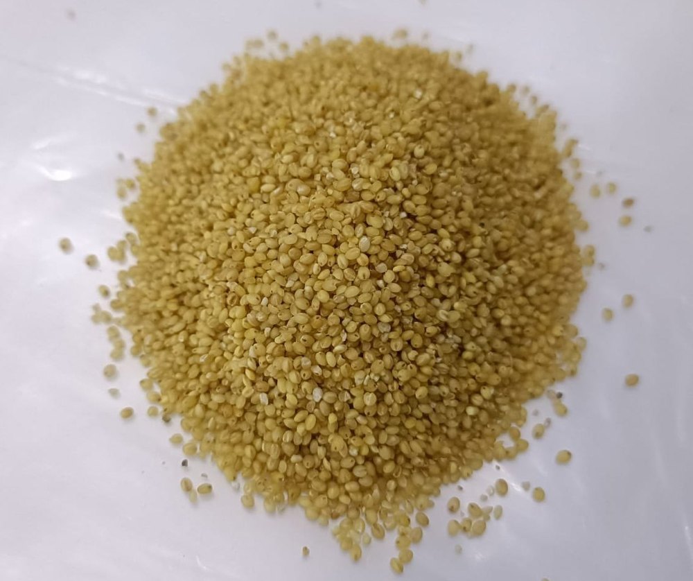 Indian Organic Foxtail Millet, For Food