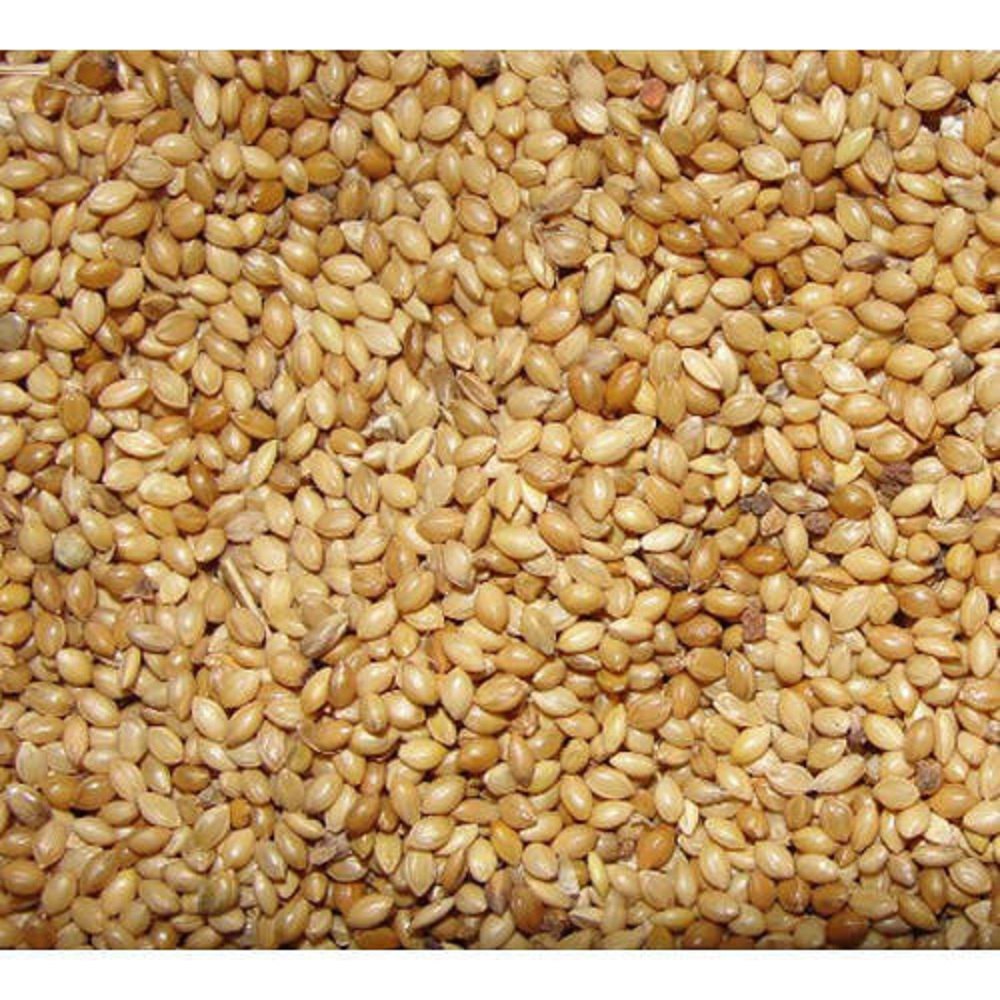 Organic Foxtail Millet Seed, For Cooking, High in Protein