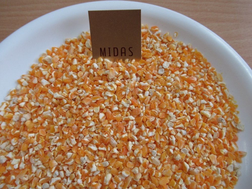 High in Protein Indian Midas Overseas Organic Cracked Corn