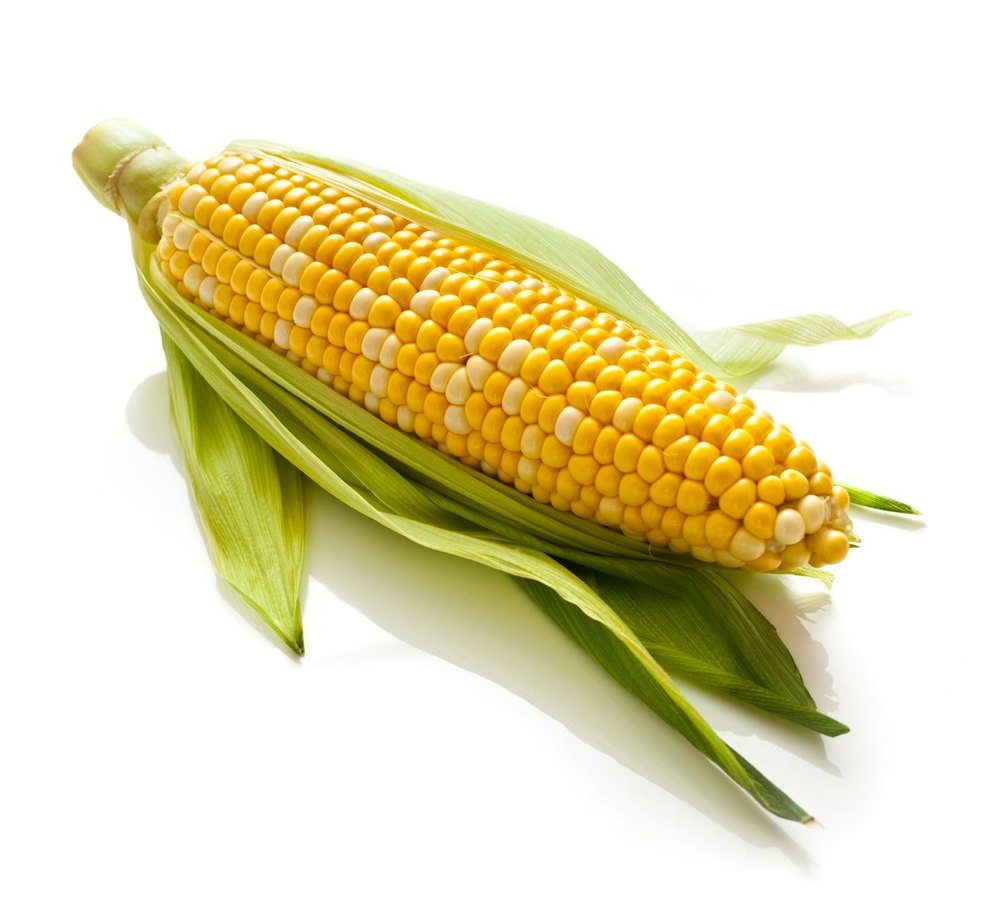 Yellow Organic Maize